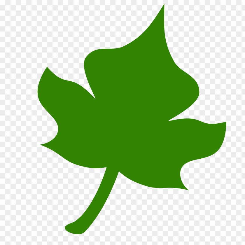 Green Leaves Autumn Leaf Color Plant Tree PNG