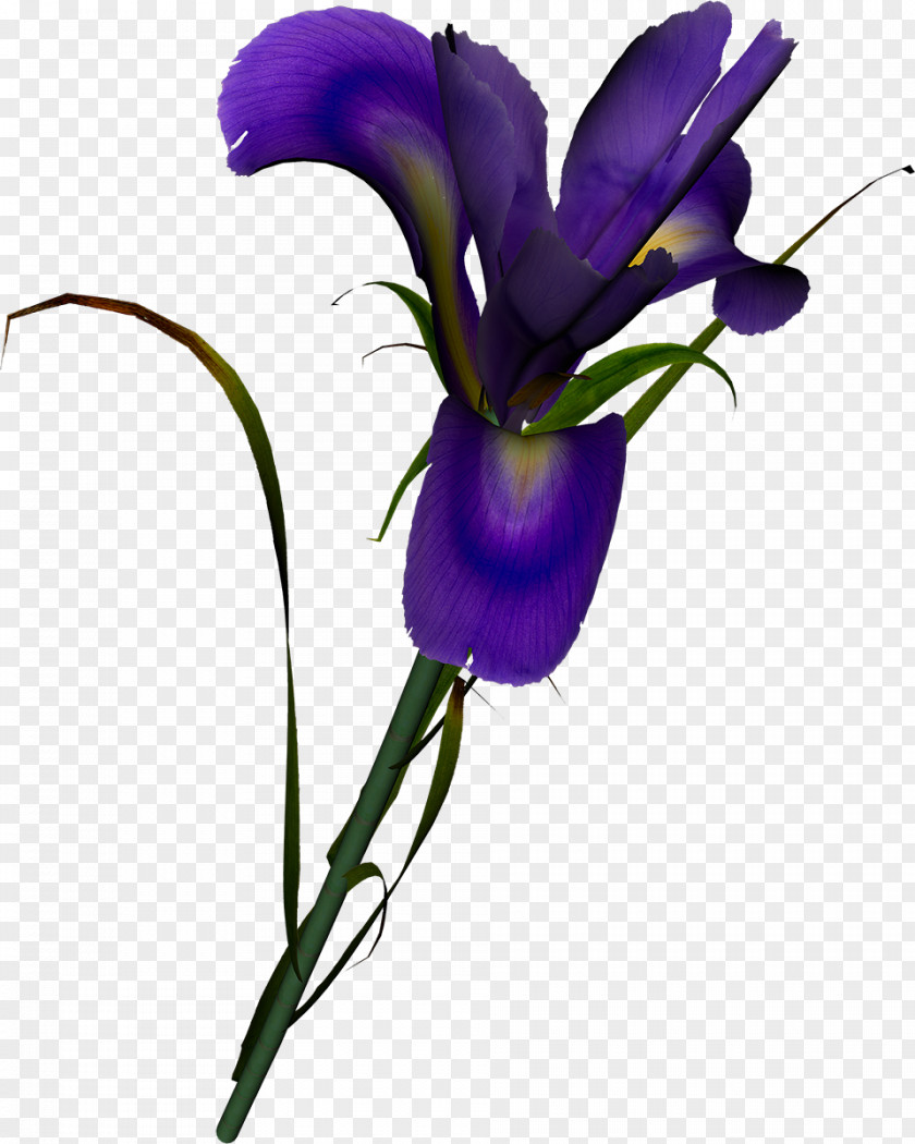 Lilac Cut Flowers Irises Garden Roses PNG