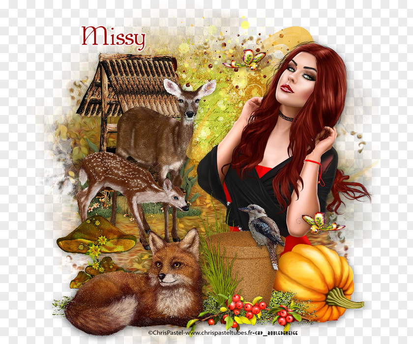 Missy Wildlife Fauna Photomontage PNG