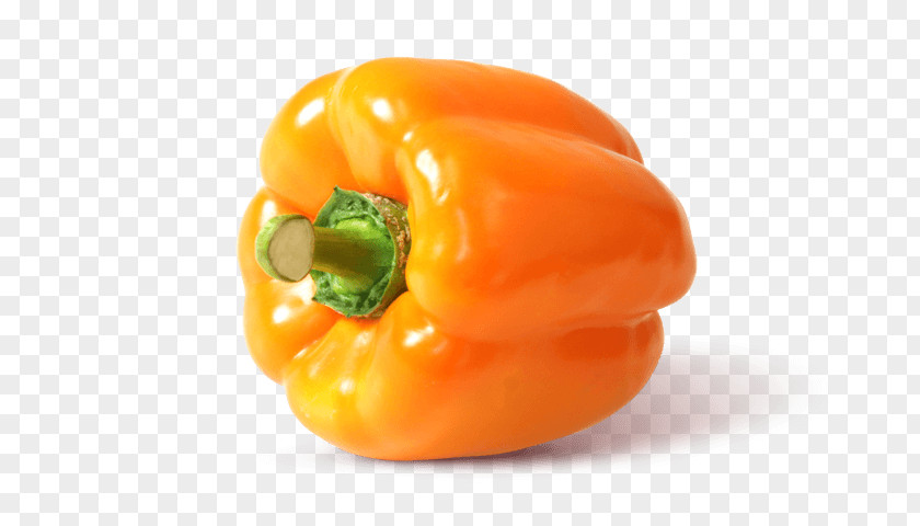 Paprika 2016 Habanero Chili Pepper Capsicum Bell Vegetable Steiner GmbH & Co. KG PNG