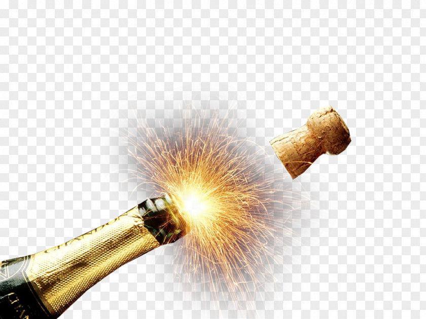 Toasting New Year's Day Hair Eve Happiness PNG