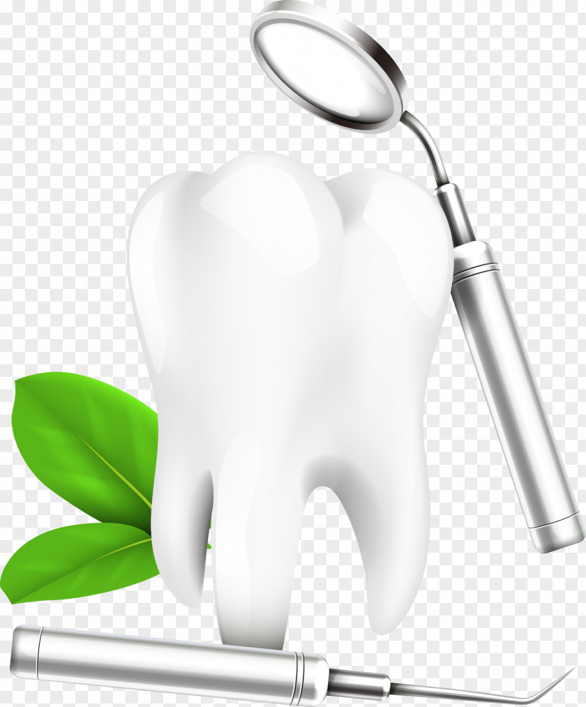 Vector Teeth And Magnifying Glass Wisdom Tooth Dental Extraction Dentistry Gums PNG
