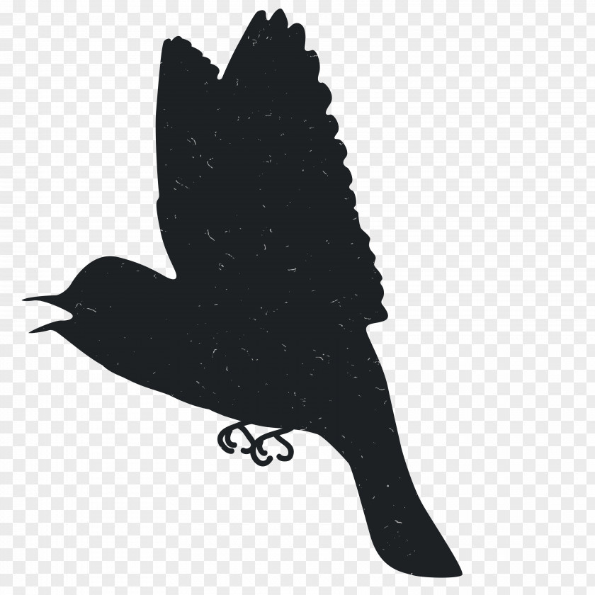 Animal Silhouettes Silhouette Black And White PNG