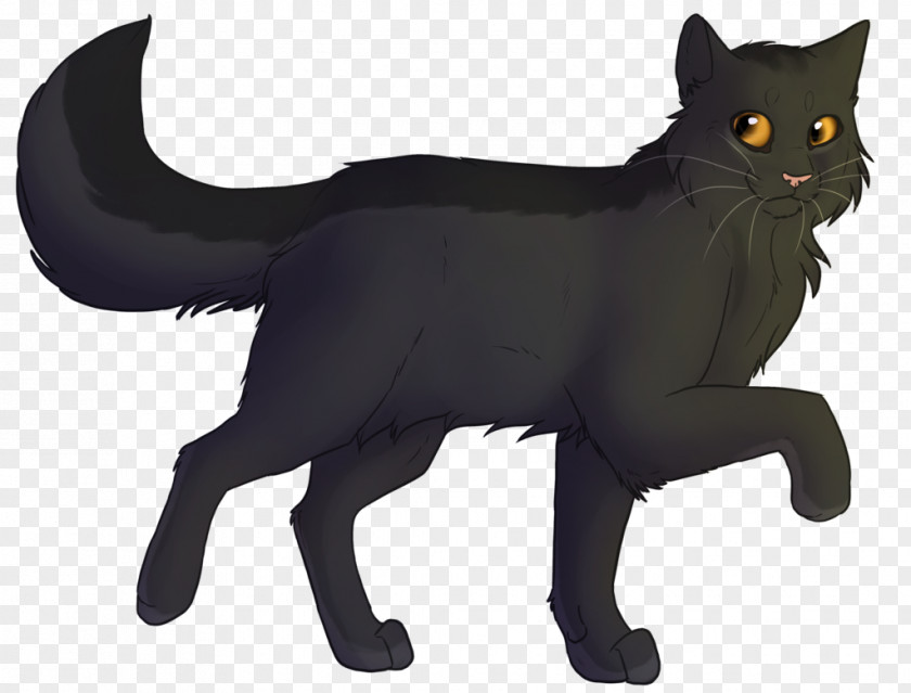 Black Cat Warriors Firestar Graystripe Fan Art PNG