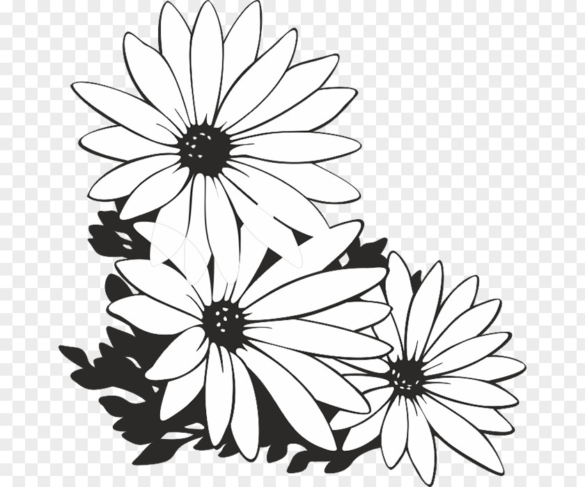 Flower Black And White PNG