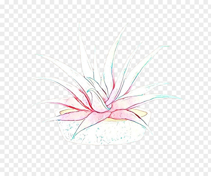 Flower Plant Pink Line Graphic Design PNG