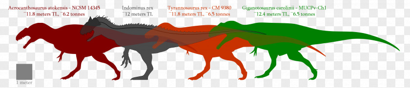 Jurassic Park Giganotosaurus Velociraptor Acrocanthosaurus Carcharodontosaurus Spinosaurus PNG