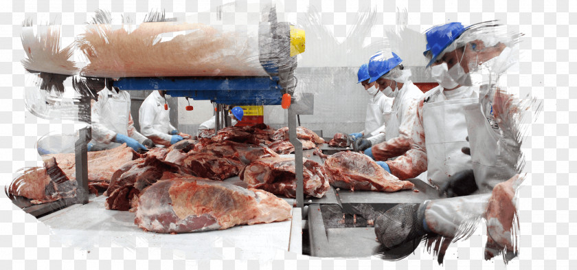 Meat Slaughterhouse Food Processing Service PNG
