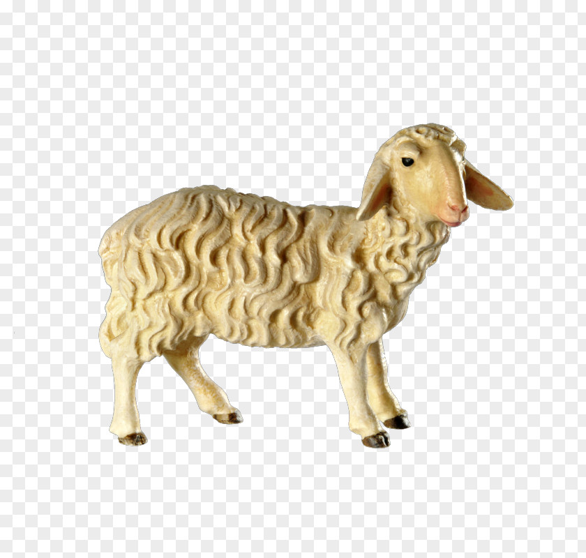 Sheep Argali Bethlehem Goat Christmas Day PNG