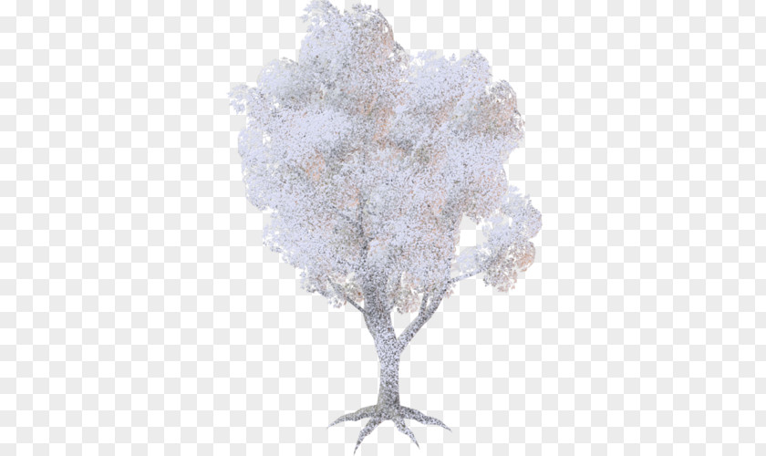 Tree Forest Garden Clip Art PNG