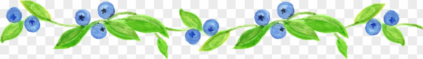 Watercolor Berry Desktop Wallpaper Grasses Commodity Close-up PNG
