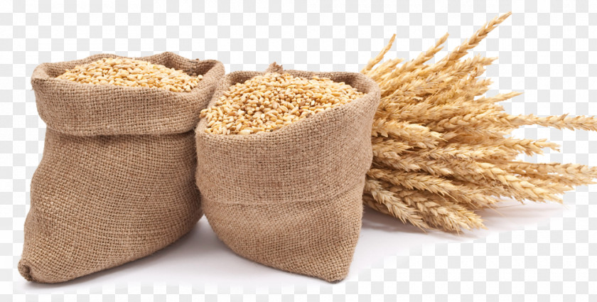 Wheat Spike ZIYA EXPORT Neck Pain Whole Grain Cereal PNG