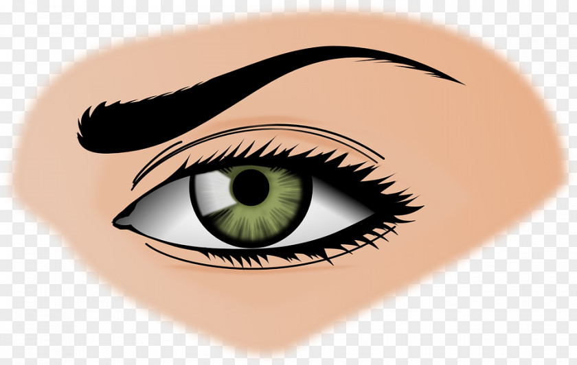 Woman Eyes Transparent Background Eyebrow Beauty Clip Art PNG