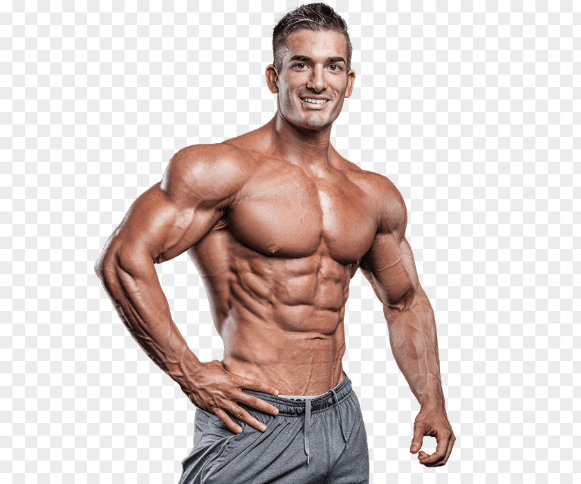 Bodybuilding International Federation Of BodyBuilding & Fitness Physical Biceps Curl Exercise Machine PNG
