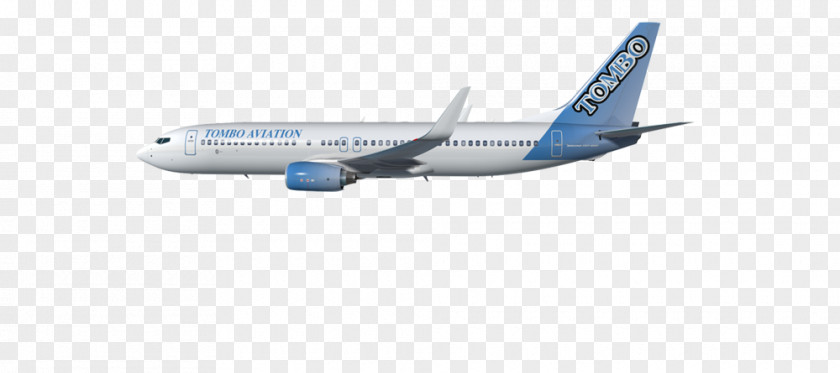 Boeing 737 Next Generation 787 Dreamliner 767 C-32 C-40 Clipper PNG