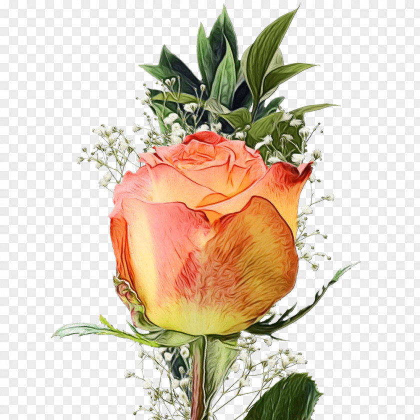 Garden Roses PNG