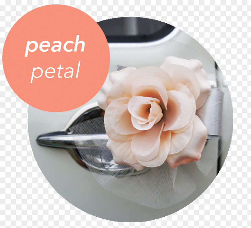 Peach Petals Car Champagne Sheer Fabric Ribbon PNG