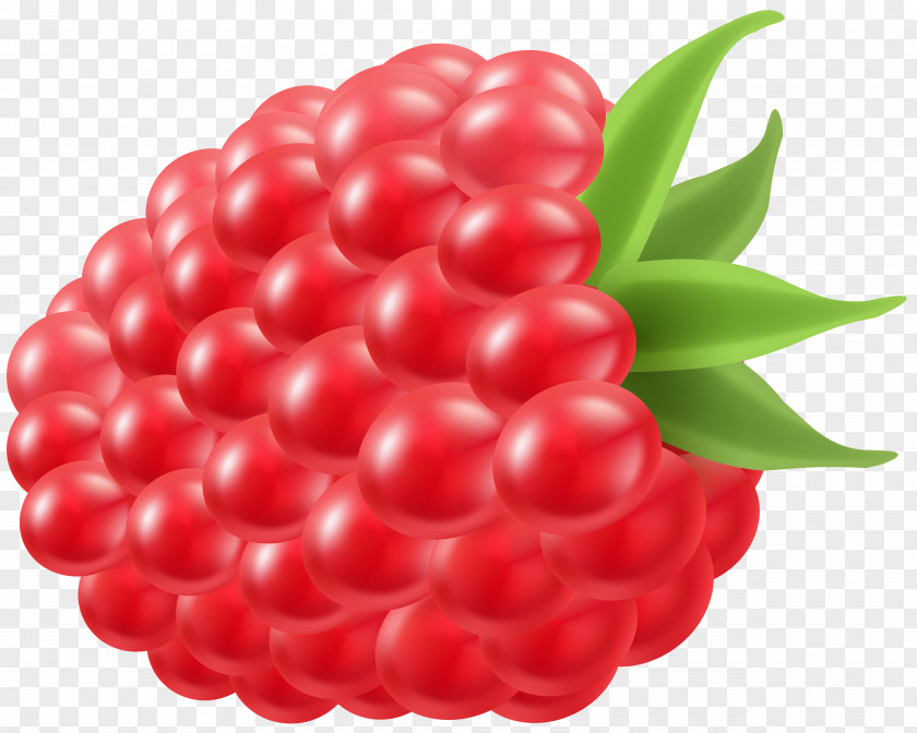 Raspberry Fruit Lime Clip Art PNG