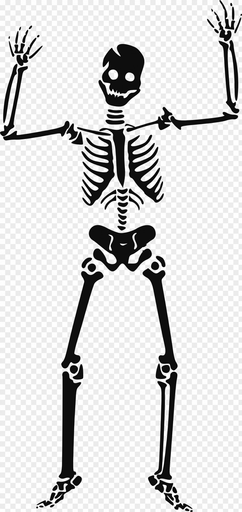 Skeleton Siluet Image Skull Clip Art PNG