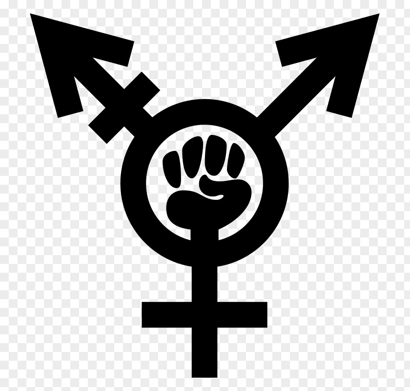 Woman Socialist Feminism Decal Sticker PNG