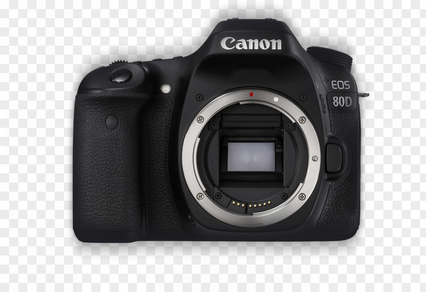 Camera Lens Canon EOS 70D Digital SLR Single-lens Reflex PNG