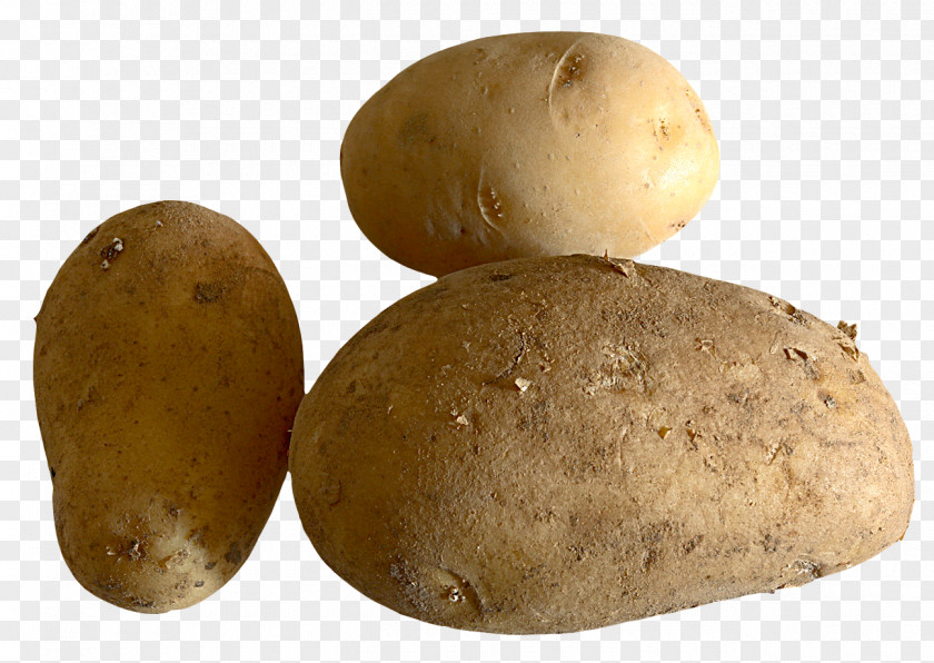 Fresh Potato Russet Burbank Vegetable PNG