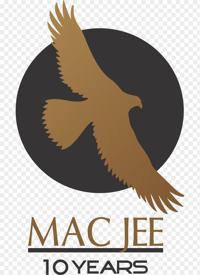 Jee Main 2019 Eagle Logo Clip Art Font Brand PNG