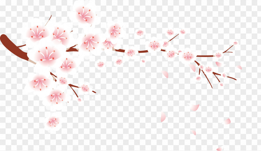 Plum Blossom Petals Falling Vector Petal Flower PNG