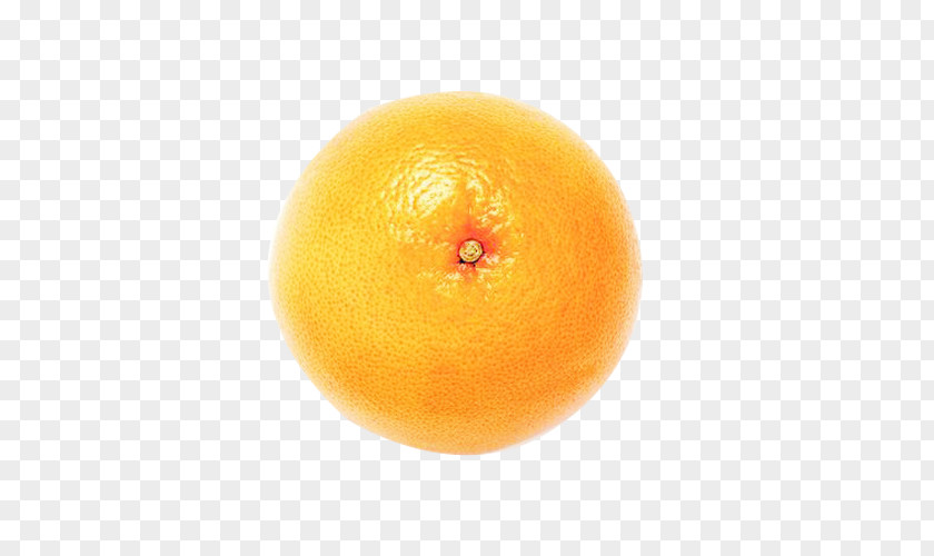 Round Orange Image Material Clementine Grapefruit Tangerine Mandarin Tangelo PNG