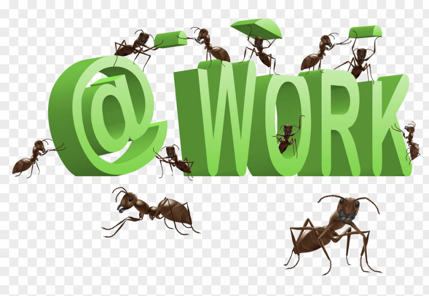 The Letter Carries Ants At Work Royalty-free Clip Art PNG