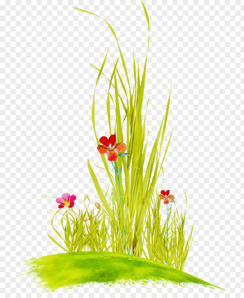 Artificial Flower Pet Supply Summer Background Design PNG