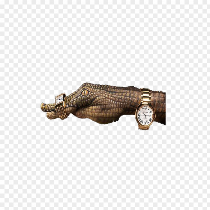 Crocodile Arm Watch PNG