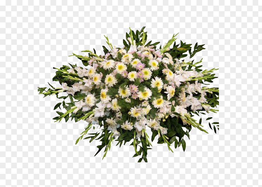 Flower Floral Design Cut Flowers Bouquet Aster PNG