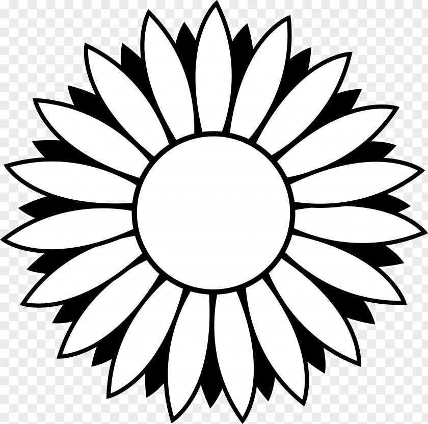 Flower Outline Images Black And White Common Sunflower Clip Art PNG
