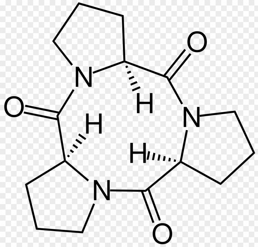 Formula One Cyclic Peptide Tripeptide Amino Acid Oligopeptide PNG