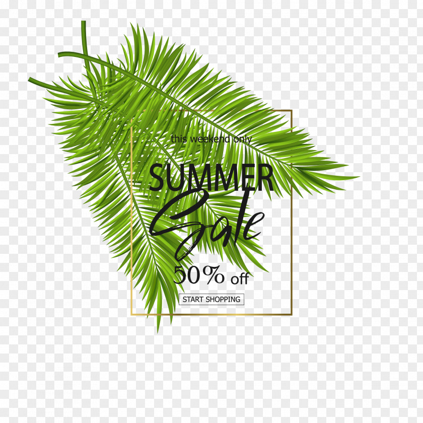Green Coconut Leaves Free Arecaceae Leaf Poster PNG