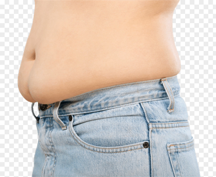 Health Waist Abdomen Abdominal Obesity Fat PNG
