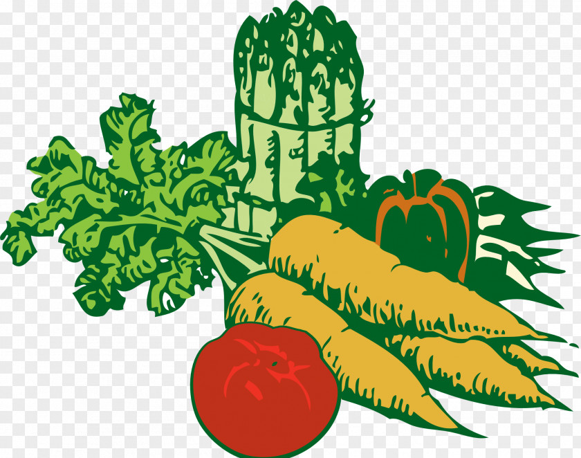 No Plants Cliparts Vegetable Fruit Clip Art PNG