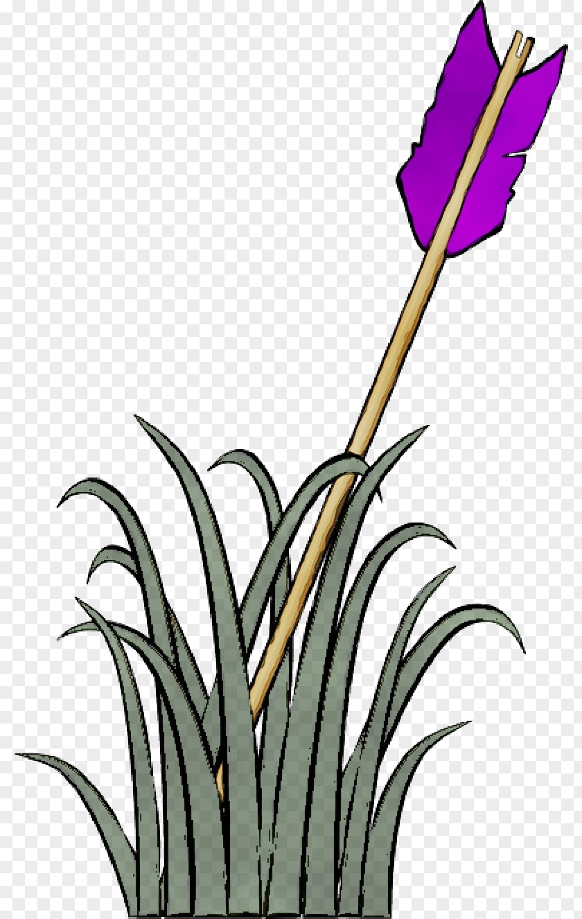 Plant Flower Silhouette Transparency Cartoon Drawing PNG