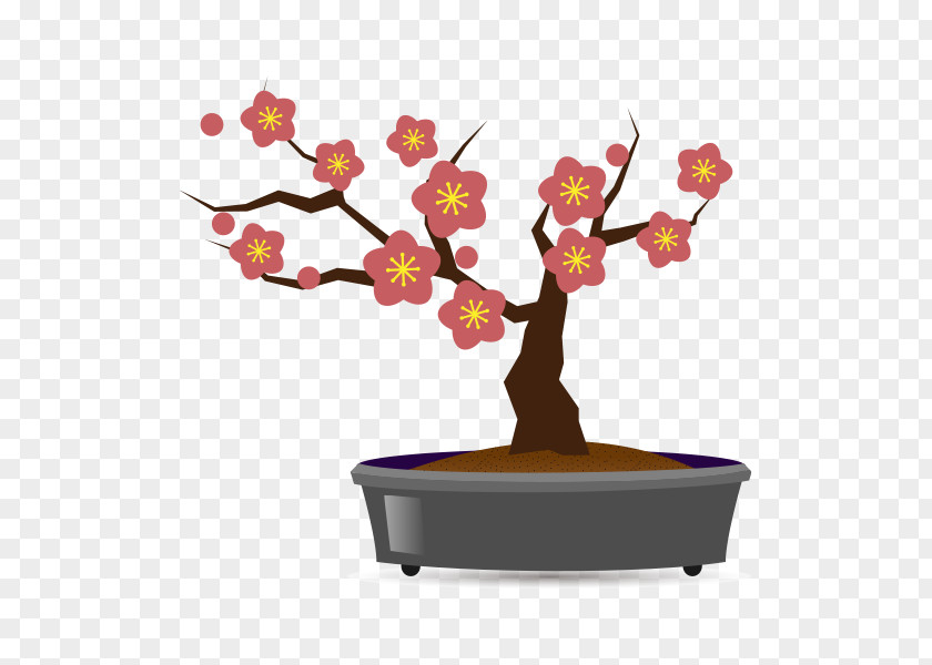 PLUM Tree Bonsai Plum Blossom Flowerpot Hobby PNG