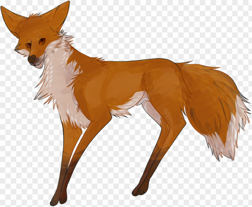 Red Fox Deer Fur News Snout PNG