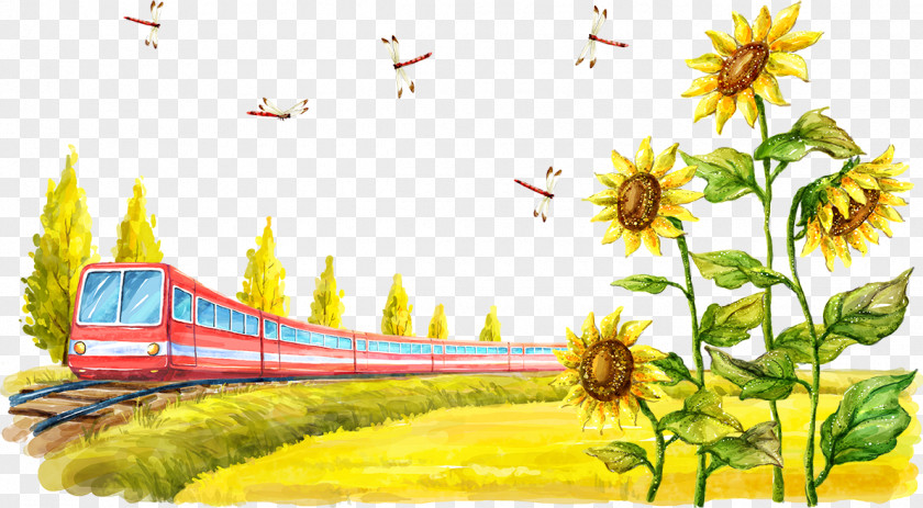 Red Train And Sunflowers Common Sunflower Cartoon Illustration PNG