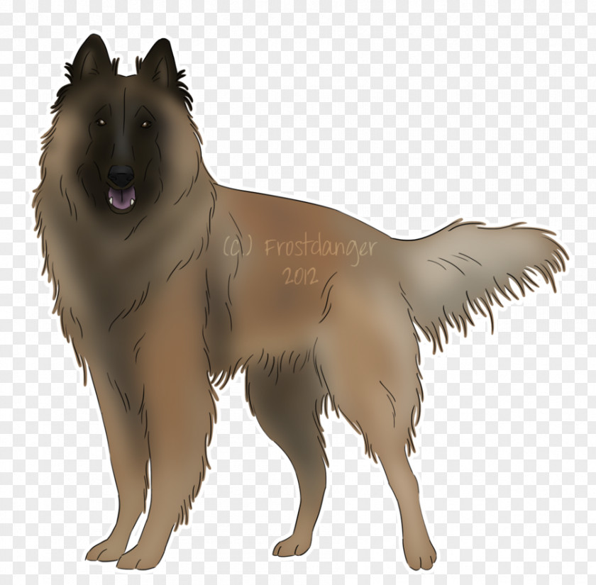 Shepherd Tervuren Belgian German Malinois Dog Norwegian Buhund PNG