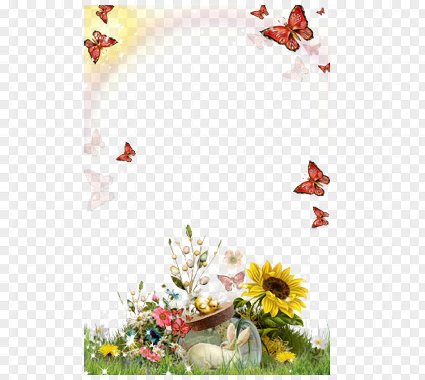 Sunflower Flower Frame Picture Android Photography PNG