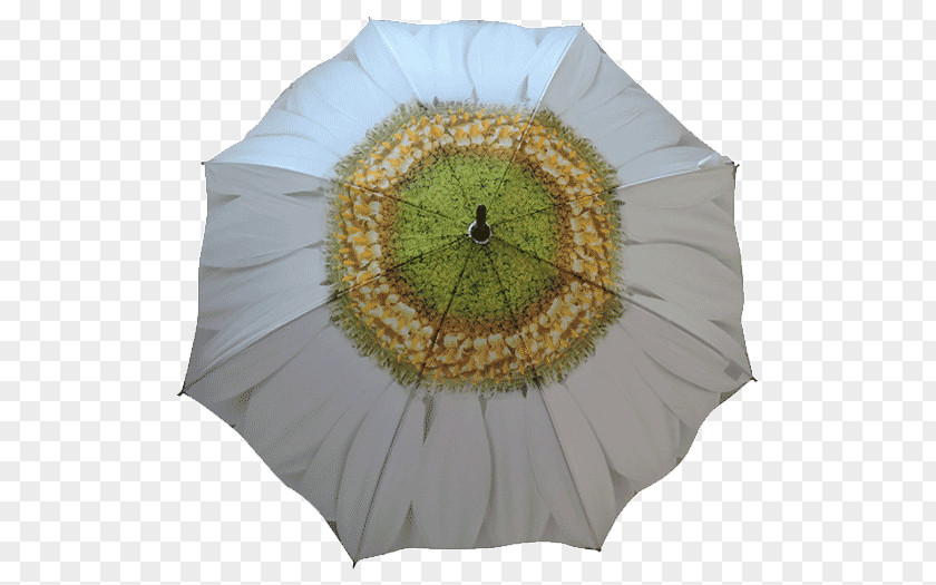 Umbrella White Flower Garden Waterproofing PNG