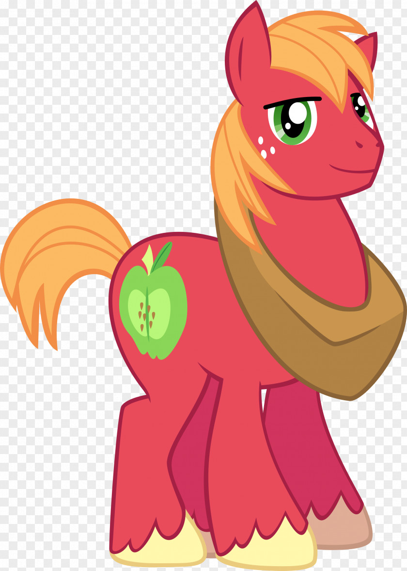 Big Mac McIntosh Applejack Pony Twilight Sparkle Pinkie Pie PNG