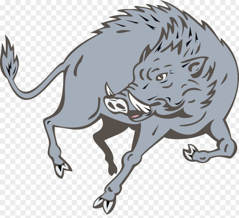 Boar Material Wild Drawing Stock Illustration Clip Art PNG