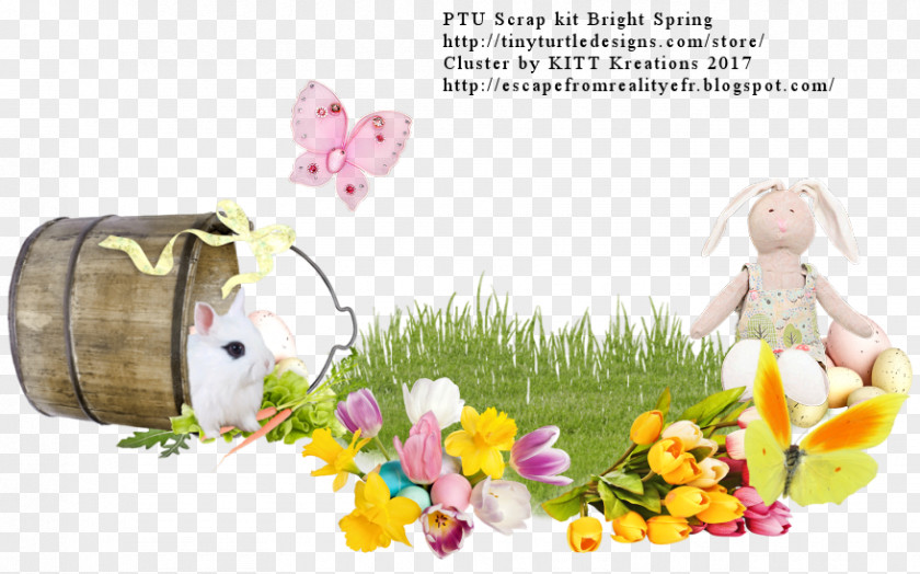 Easter Picture Frames Film Frame Photography Scrapbooking PNG