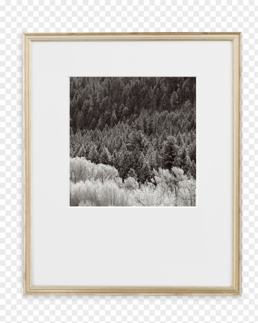 Picture Frames Document Mat Coffee PNG
