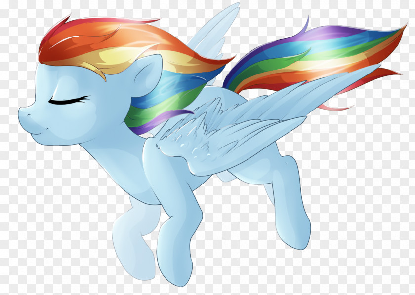 Rainbow Dash Horse Fan Club Pony Association PNG